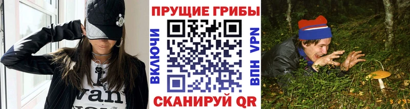 дарнет шоп  мега онион  Псилоцибиновые грибы Cubensis  Балашиха 