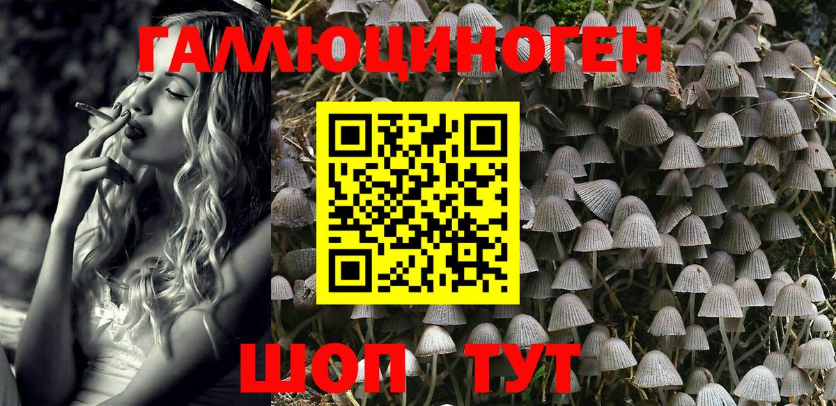 наркота  Галлюциногенные грибы GOLDEN TEACHER  Вход с VPN  Балашиха 