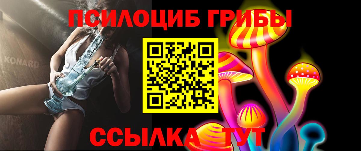 Псилоцибиновые грибы мицелий Балашиха